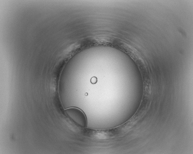 X0000116790710200912241202