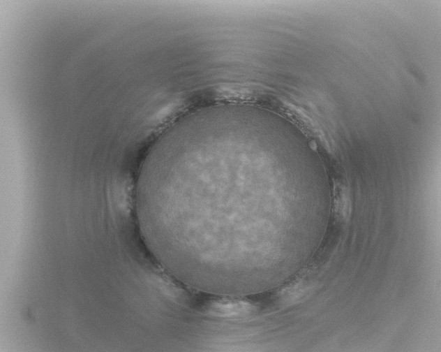 X0000116790712200912241202