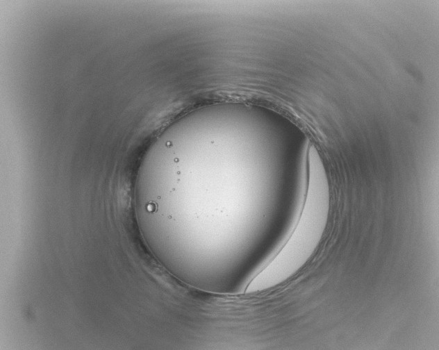 X0000116790713200912241202