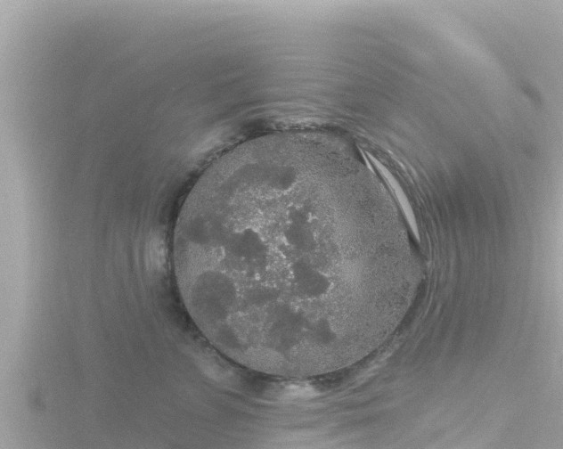 X0000116790715200912241202