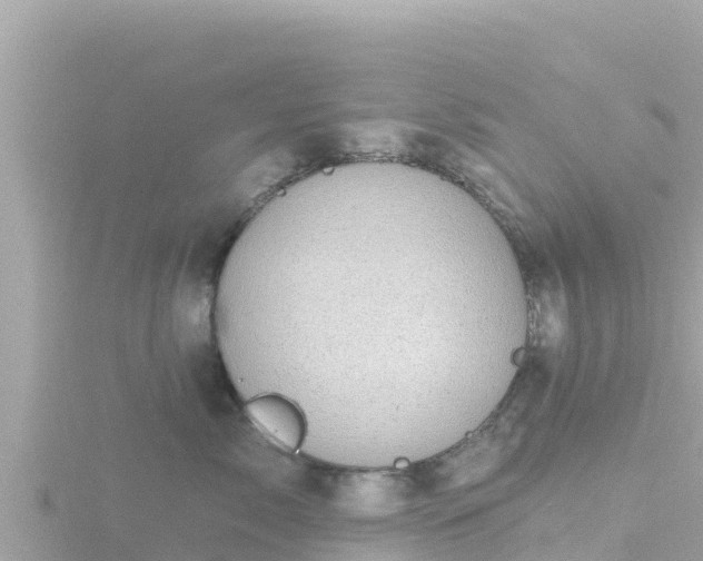 X0000116790717200912241202