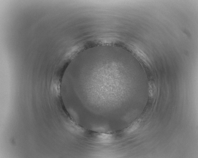 X0000116790718200912241202