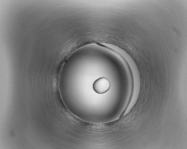 X0000116790720200912241202