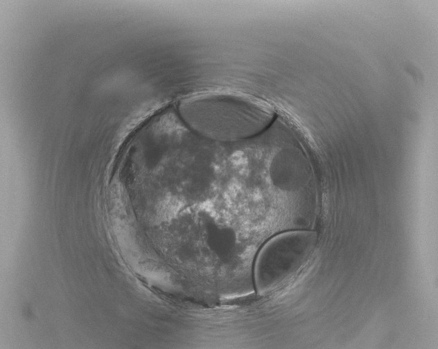 X0000116790721200912241201