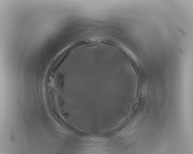 X0000116790722200912241201