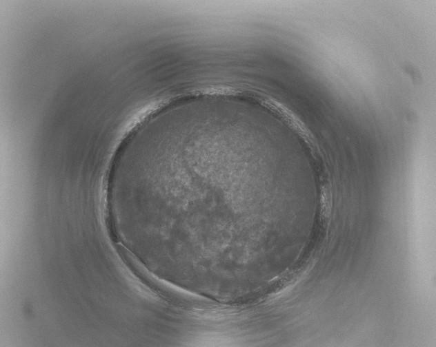 X0000116790725200912241201