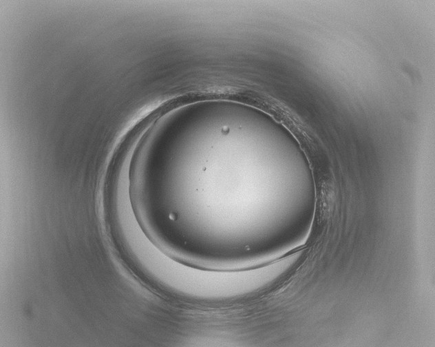 X0000116790726200912241201