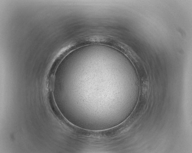 X0000116790727200912241201