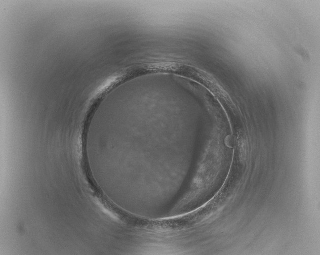 X0000116790729200912241201