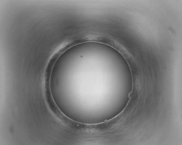 X0000116790730200912241201