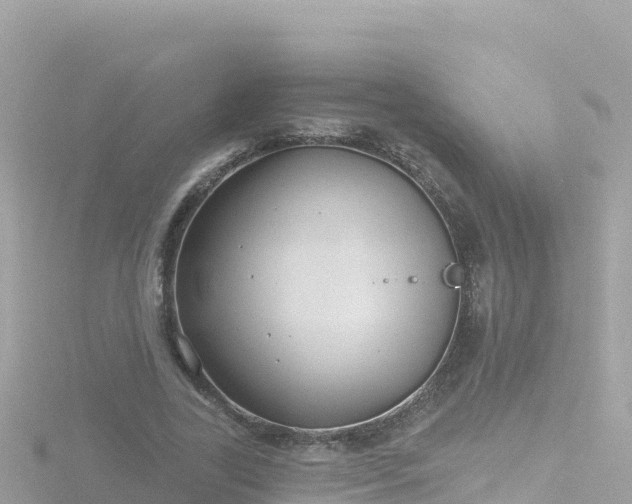 X0000116790731200912241201