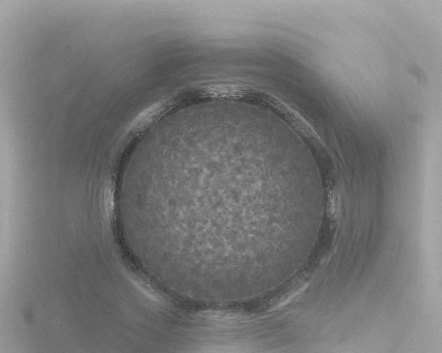 X0000116790733200912241201