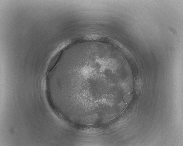 X0000116790734200912241201