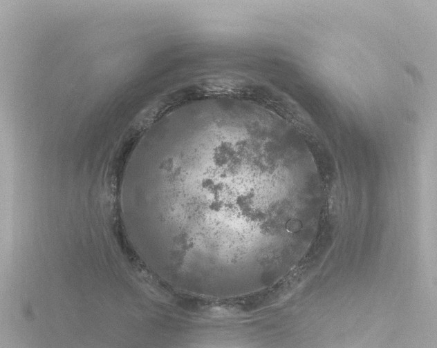 X0000116790737200912241201