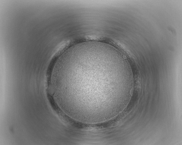 X0000116790738200912241201