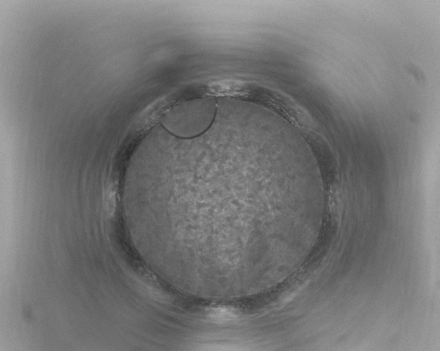 X0000116790741200912241201