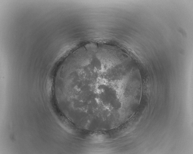 X0000116790742200912241201