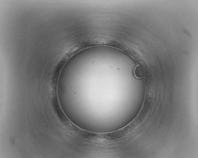 X0000116790743200912241201