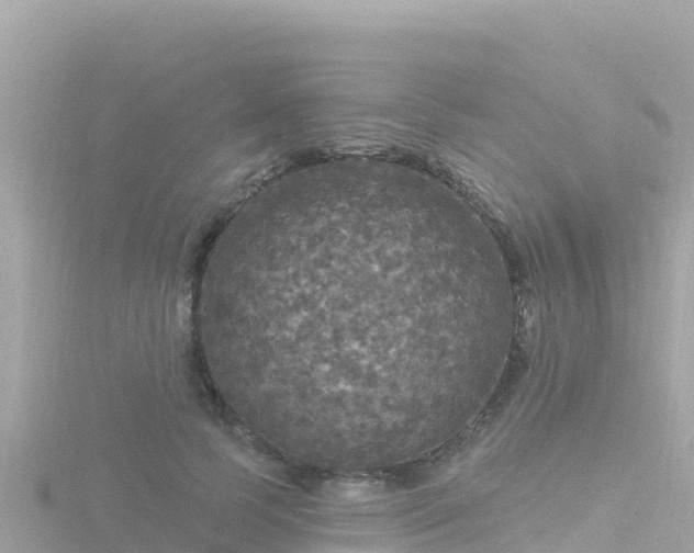 X0000116790745200912241201