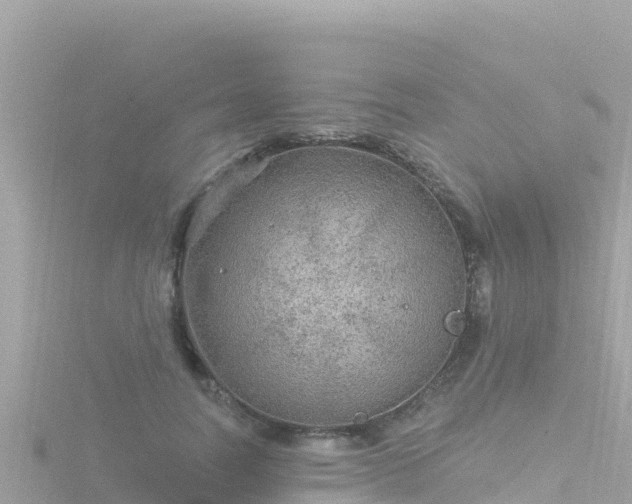 X0000116790746200912241201