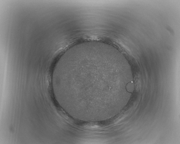 X0000116790747200912241202