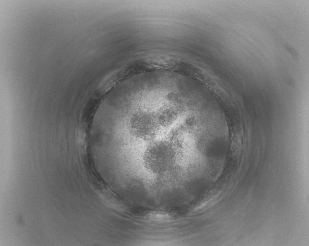 X0000116790749200912241202