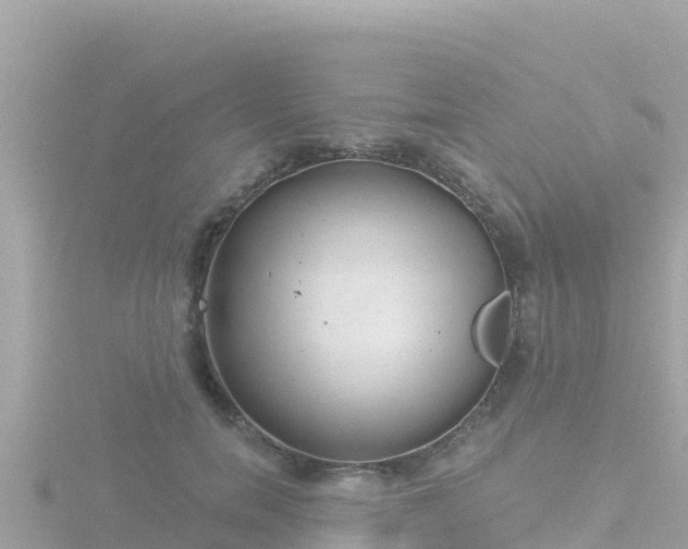 X0000116790750200912241202