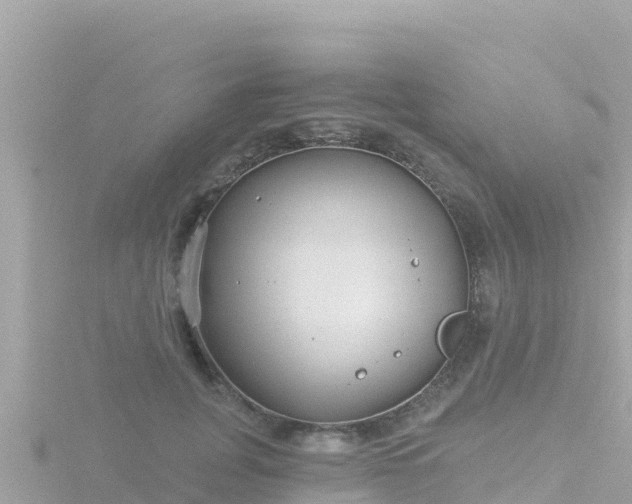 X0000116790751200912241202