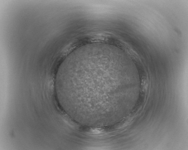 X0000116790753200912241202