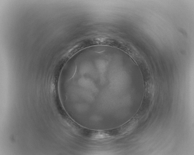 X0000116790754200912241202