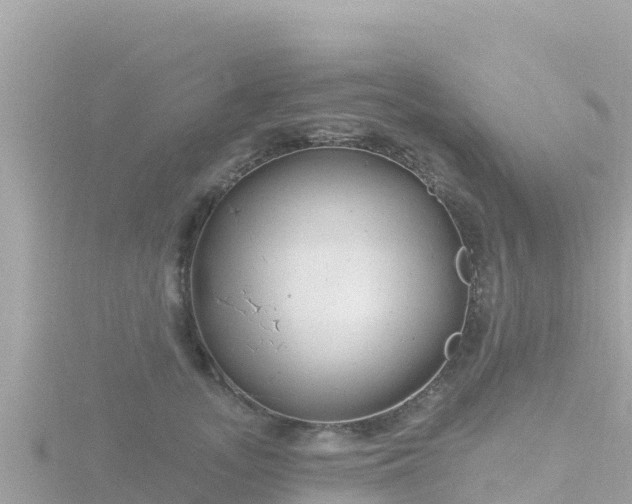 X0000116790755200912241202