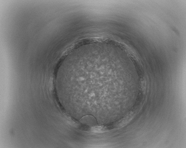 X0000116790757200912241202