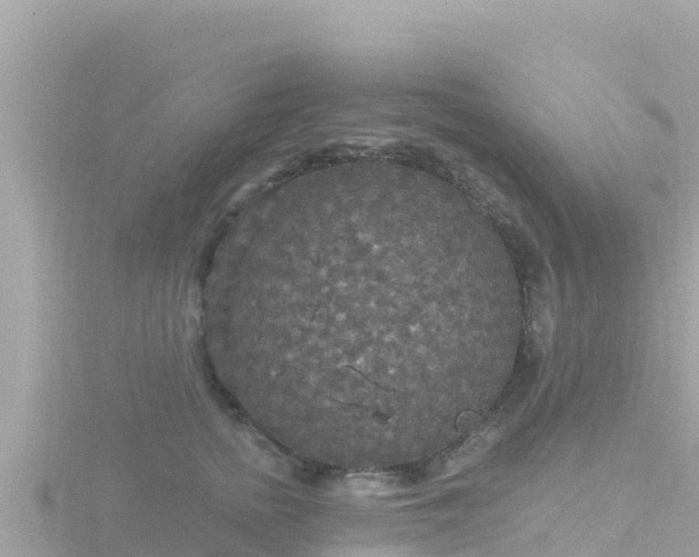 X0000116790758200912241202