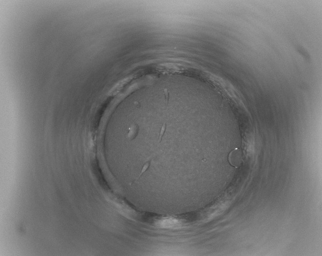 X0000116790759200912241202