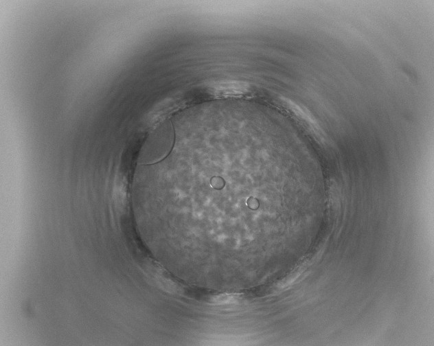 X0000116790761200912241202