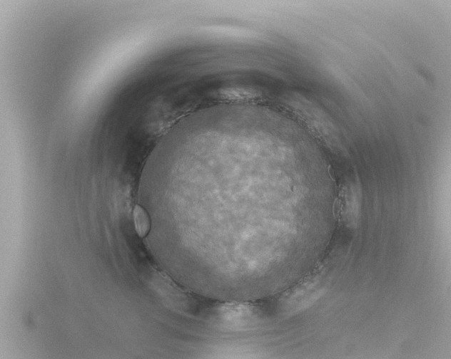 X0000116790762200912241202