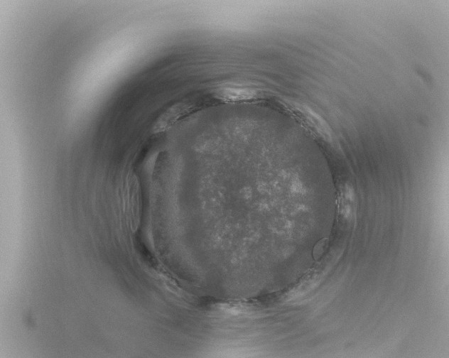 X0000116790763200912241202