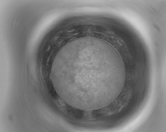 X0000116790766200912241202