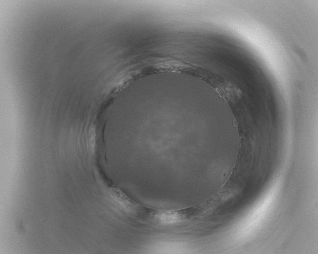 X0000116790767200912241202