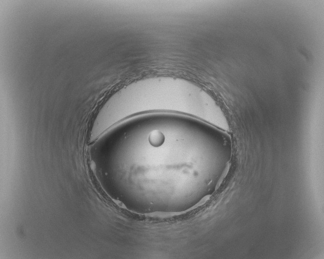 X0000116790769200912241201