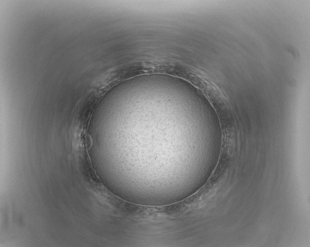 X0000116790770200912241201