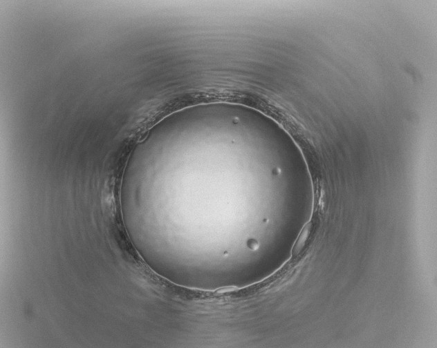 X0000116790771200912241201