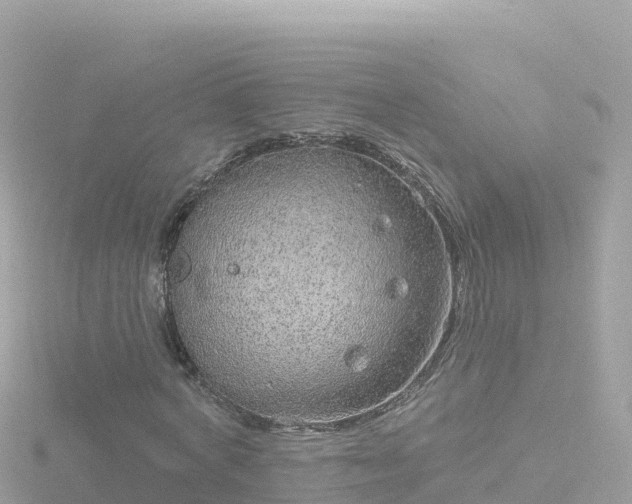 X0000116790772200912241201