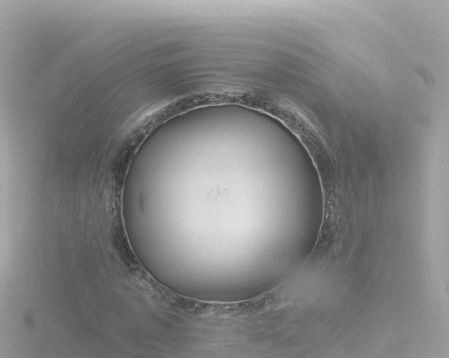 X0000116790773200912241201