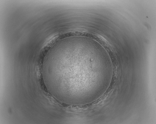 X0000116790774200912241201