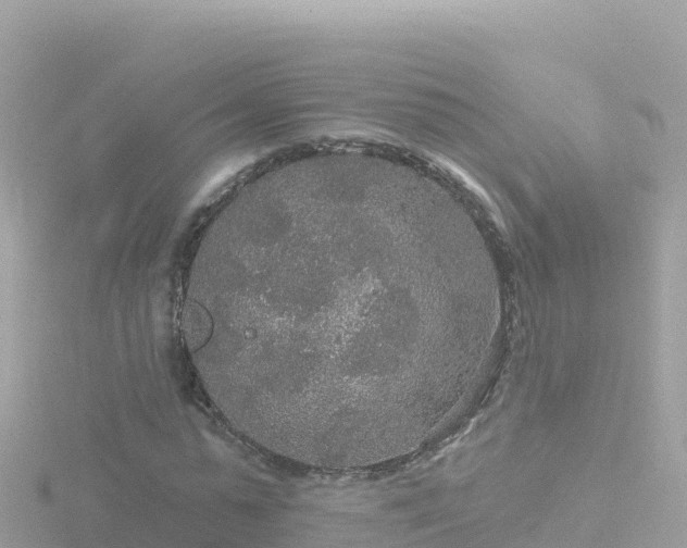 X0000116790775200912241201