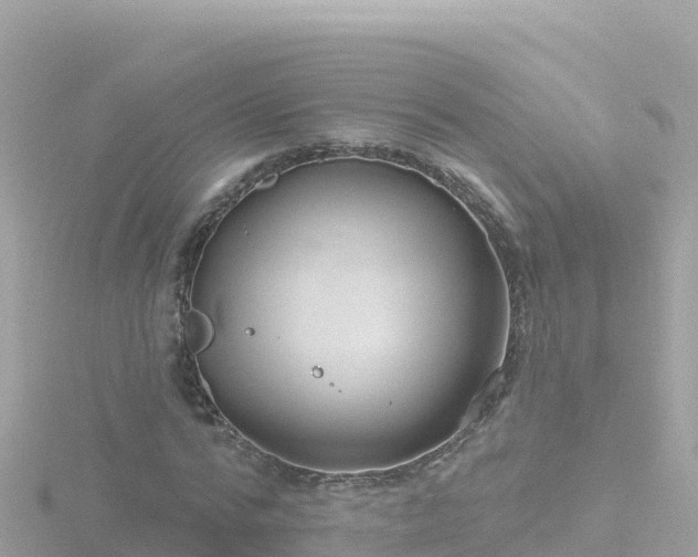 X0000116790776200912241201