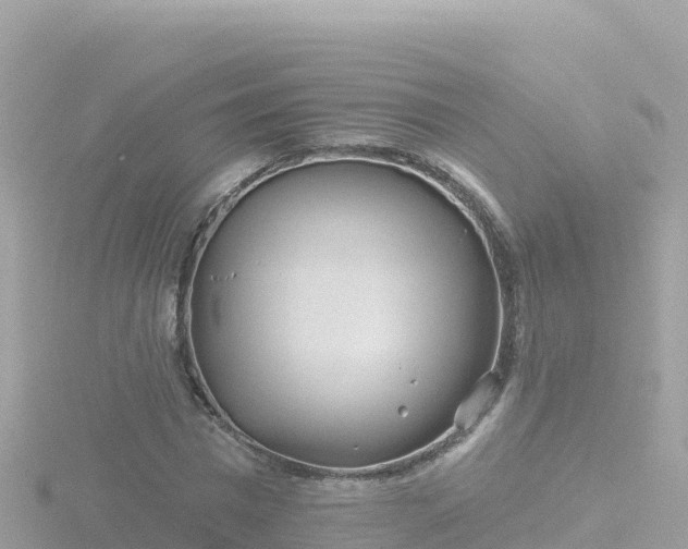 X0000116790777200912241201