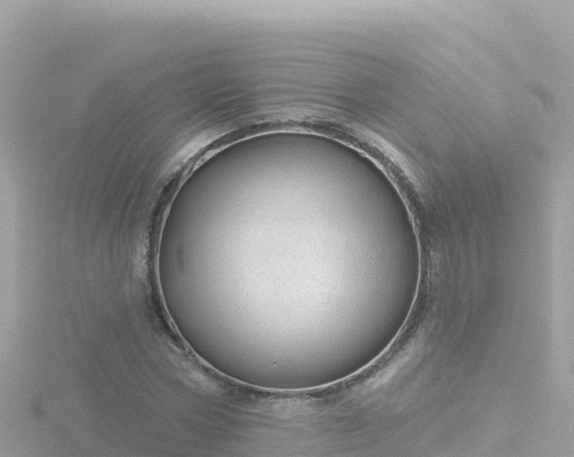 X0000116790778200912241201