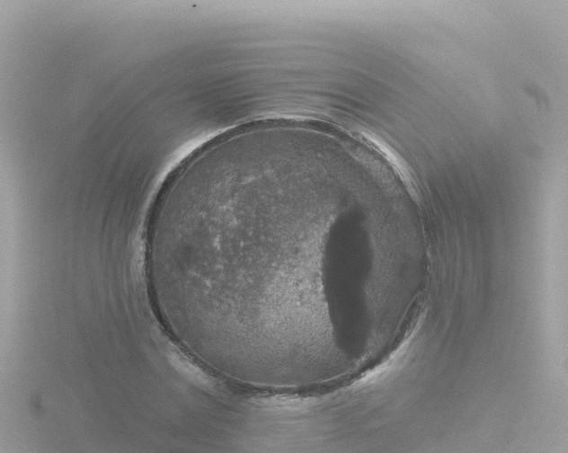 X0000116790779200912241201